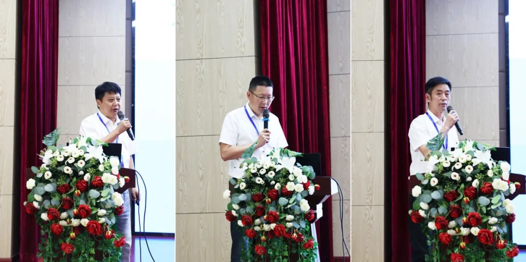 1691052548547364.jpg 1691052548547364.jpg